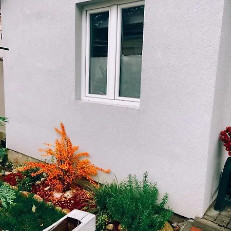 Milica Apartament Vrnjačka Banja