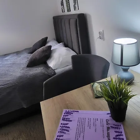 Milica 公寓 Vrnjačka Banja