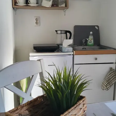 Apartament Milica Vrnjačka Banja