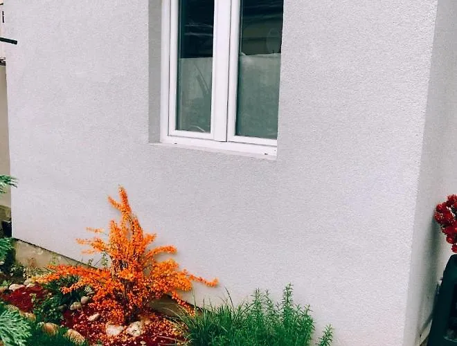 Milica شقة Vrnjačka Banja